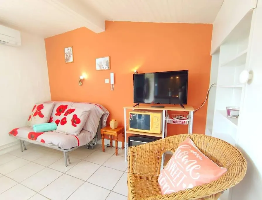 Studio Le Petit Rhodier Saint-Cirice 0*,  Frankrig