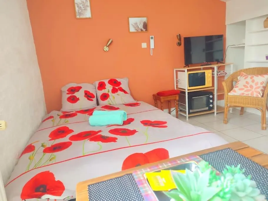 Lejlighed Studio Le Petit Rhodier Saint-Cirice